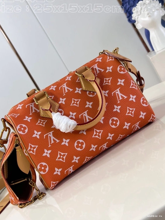 WIS Louis SPEEDY 25 Vuitton 1031